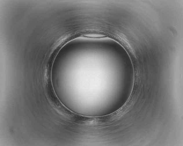 X0000116570116200912101519