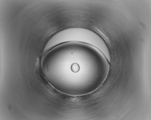 X0000116570117200912101518