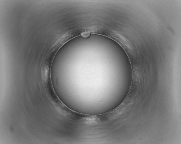 X0000116570118200912101518