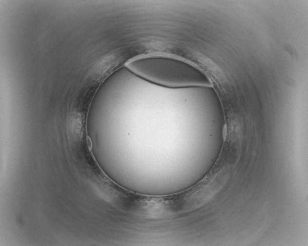 X0000116570121200912101518