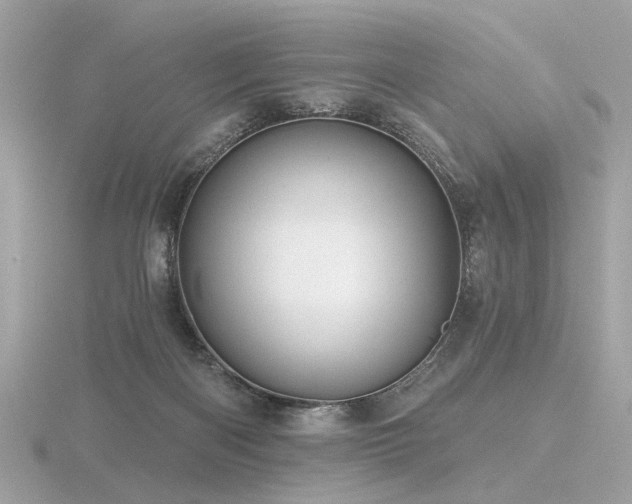 X0000116570122200912101518