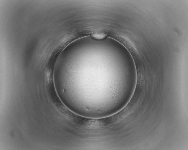 X0000116570123200912101518