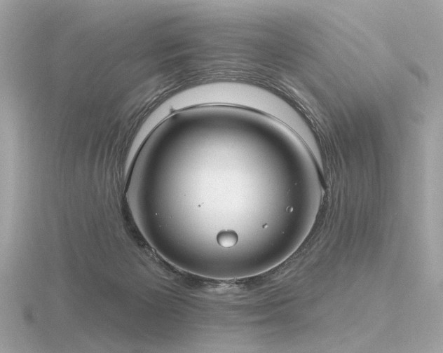 X0000116570125200912101518