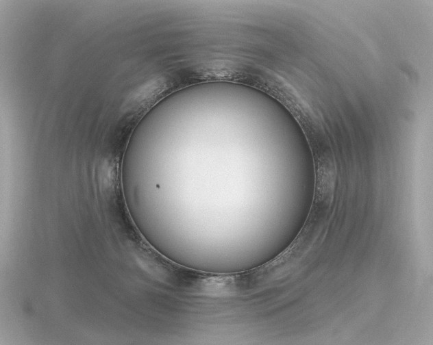 X0000116570126200912101518