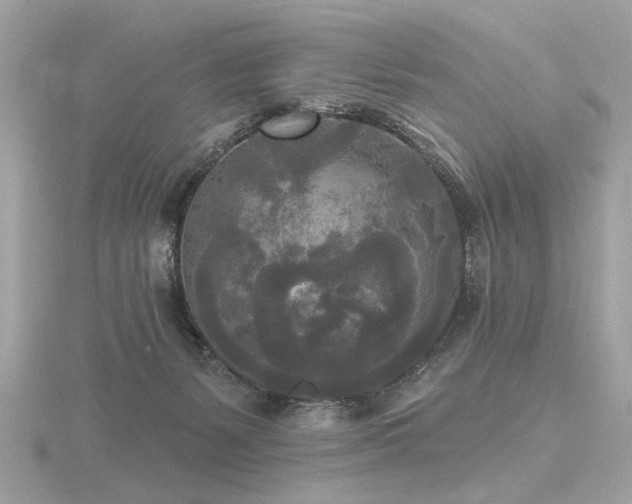 X0000116570127200912101518