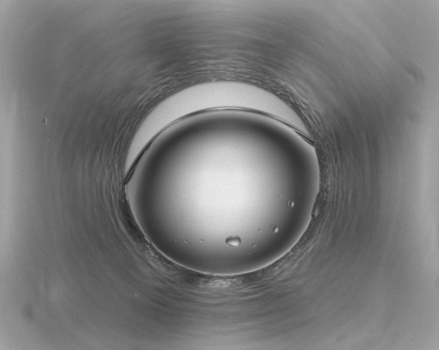 X0000116570129200912101518