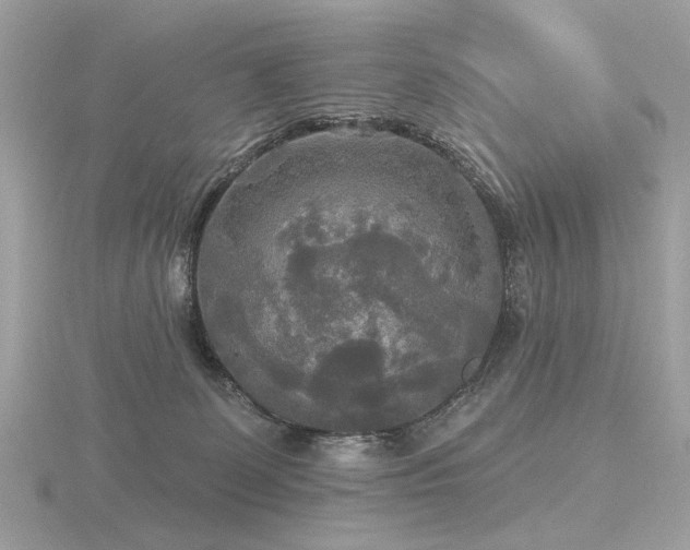 X0000116570131200912101518