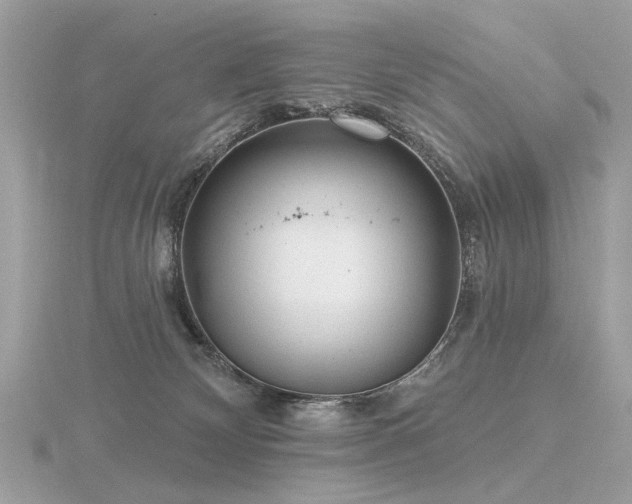 X0000116570132200912101518