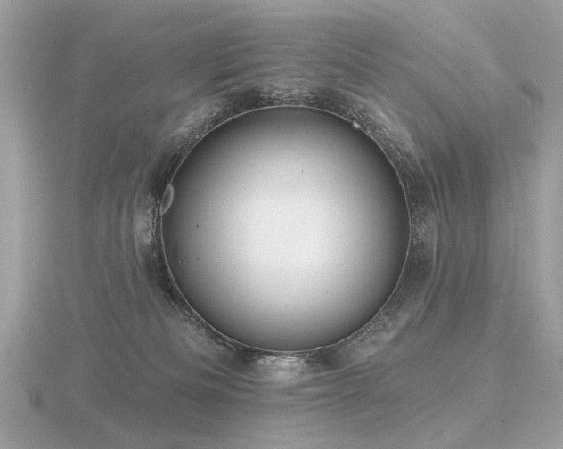 X0000116570133200912101518