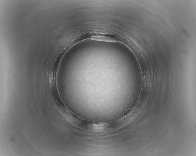 X0000116570134200912101518