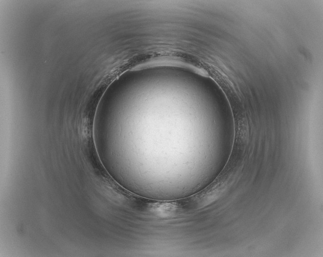 X0000116570135200912101518