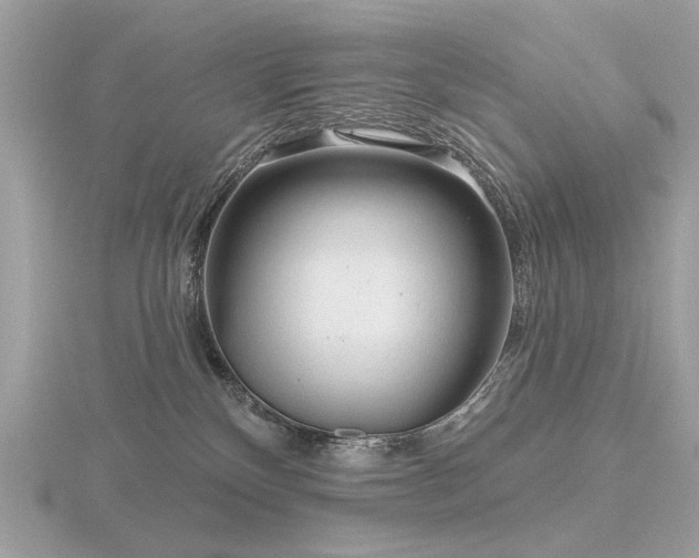 X0000116570136200912101518