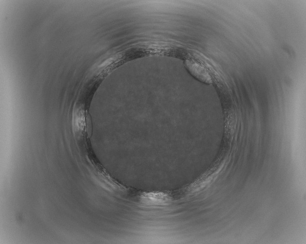 X0000116570137200912101518