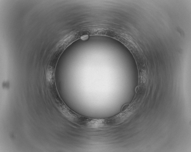 X0000116570138200912101518