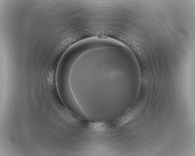 X0000116570139200912101518