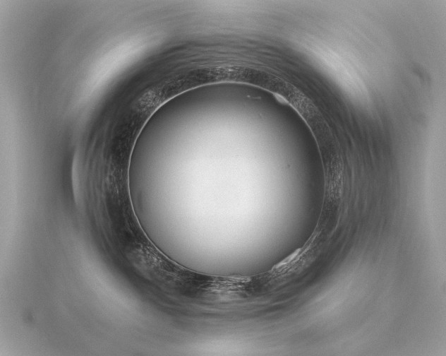 X0000116570140200912101518