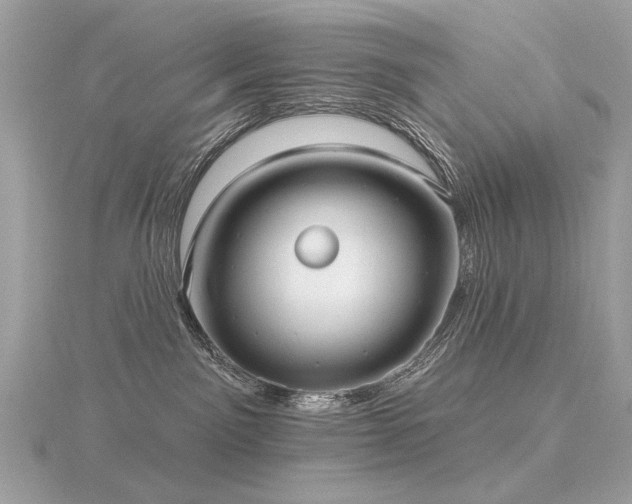 X0000116570141200912101518