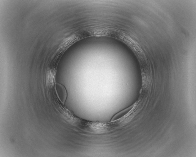 X0000116570142200912101518