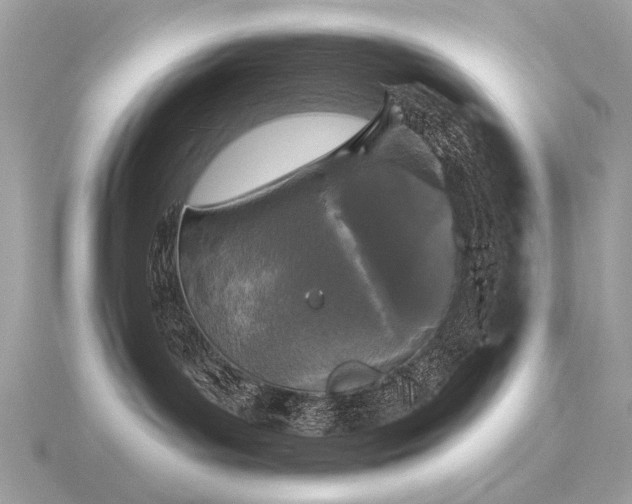 X0000116570143200912101518