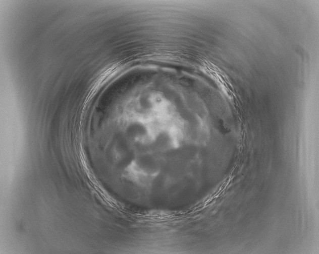 X0000116570145200912101517