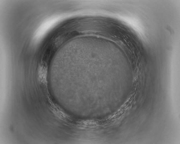 X0000116570146200912101517