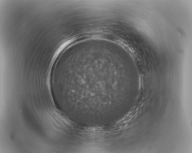 X0000116570147200912101517