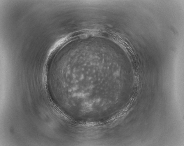 X0000116570149200912101517