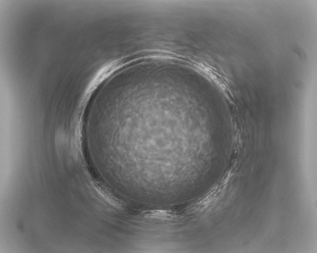 X0000116570151200912101517