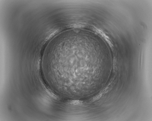 X0000116570153200912101517