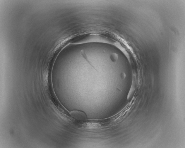 X0000116570154200912101517