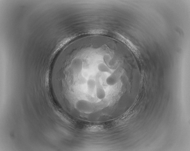 X0000116570155200912101517