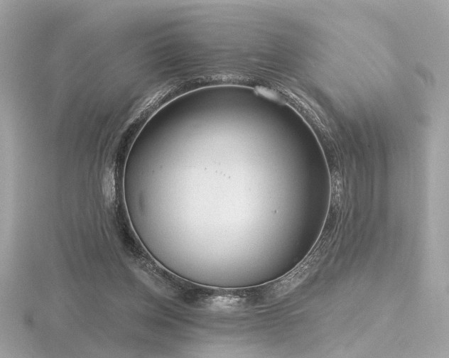 X0000116570158200912101518