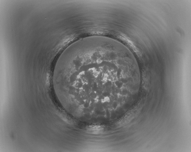 X0000116570161200912101518