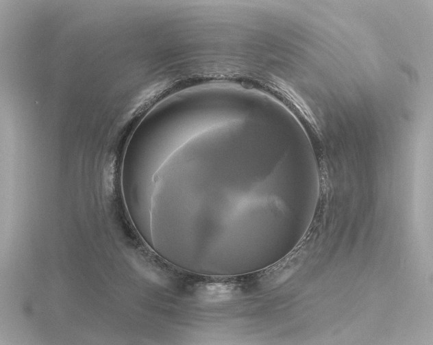 X0000116570163200912101518