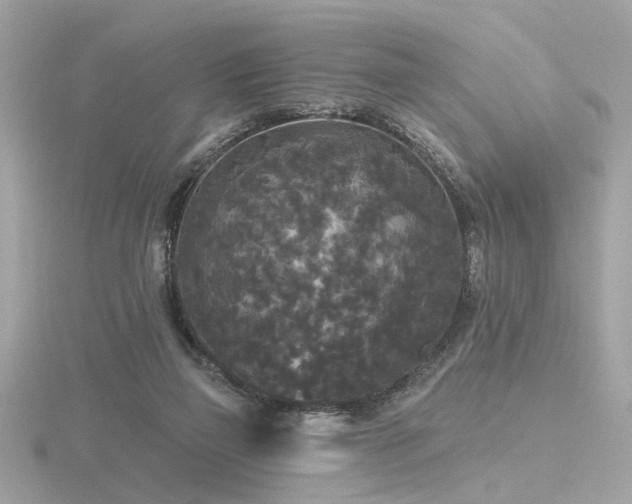 X0000116570165200912101518