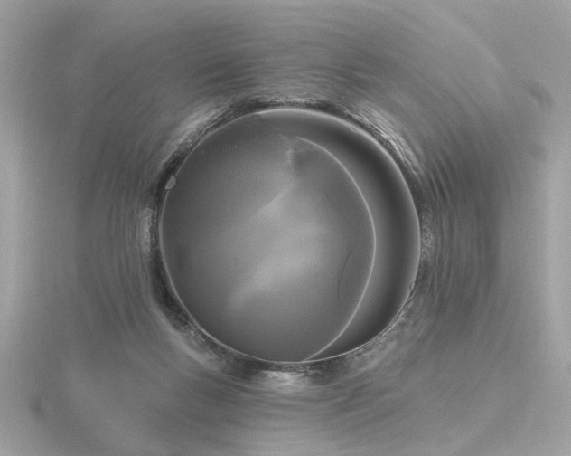 X0000116570167200912101518