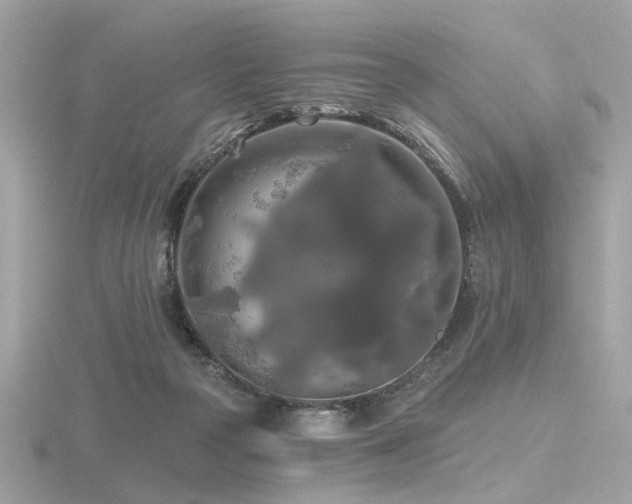 X0000116570169200912101518