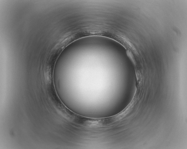 X0000116570170200912101518