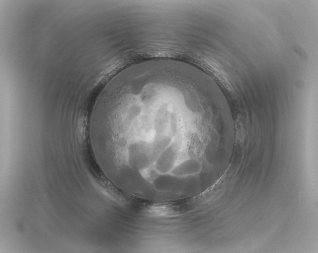 X0000116570171200912101518