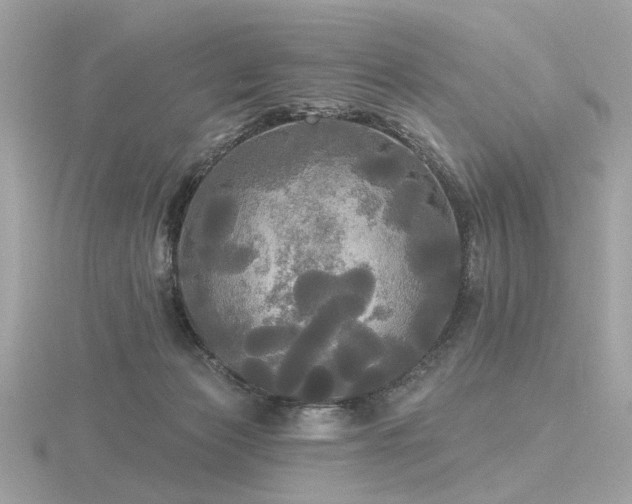 X0000116570173200912101518