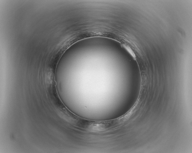 X0000116570174200912101518