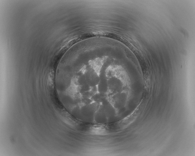 X0000116570175200912101518