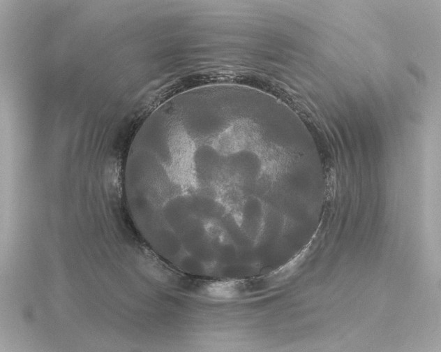 X0000116570178200912101518