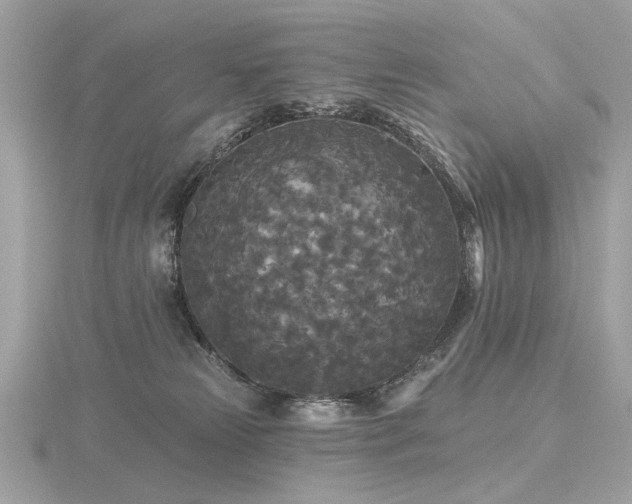 X0000116570181200912101518