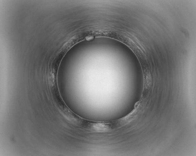 X0000116570183200912101518