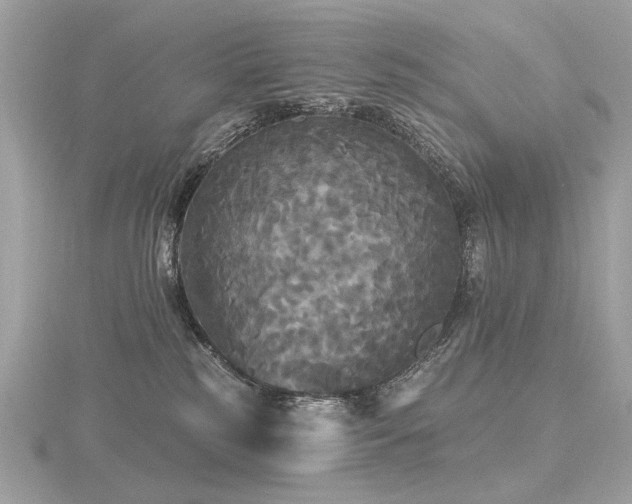 X0000116570185200912101518