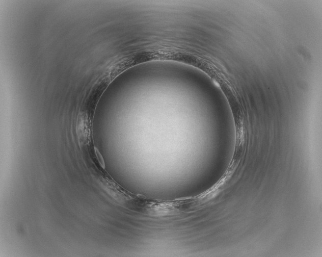 X0000116570186200912101518