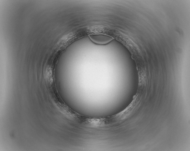 X0000116570187200912101518