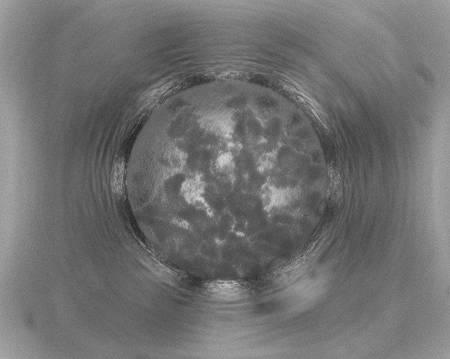 X0000116570189200912101518