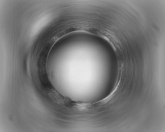 X0000116570190200912101518